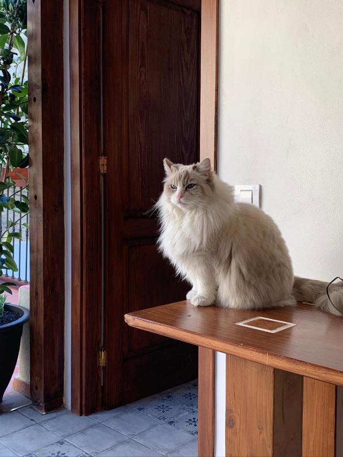 Alojamento de Acomodação e Pequeno-almoço Casa Doranda Vegueta Las Palmas de Gran Canárias